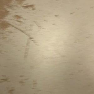 Meet your Posher, Bryan